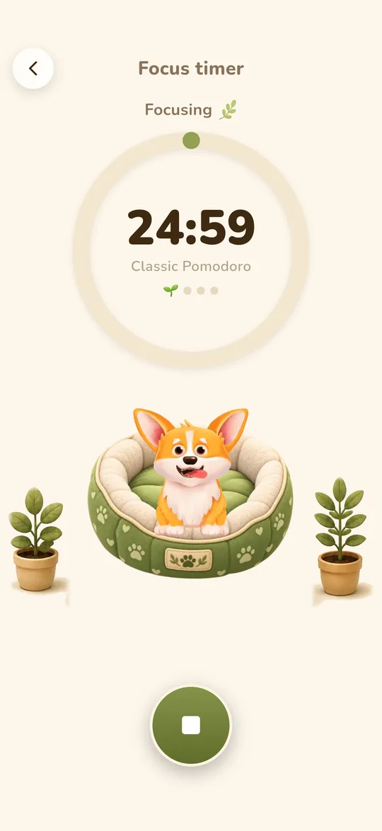 A 25:00 focus session running in Study Corgi